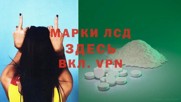 a pvp Магас
