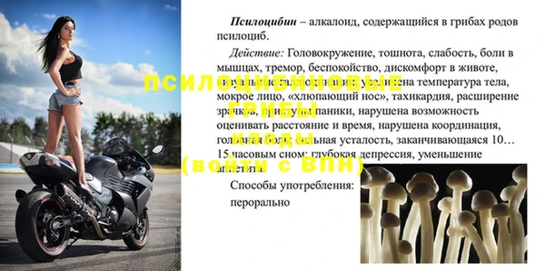 a pvp Магас
