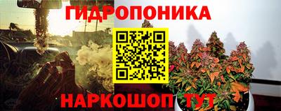 хмурый Заводоуковск