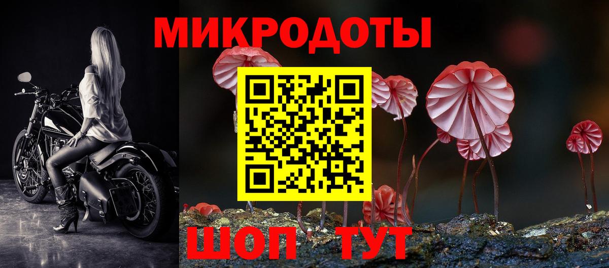 Псилоцибиновые грибы Magic Shrooms  Галлюциногенные грибы Psilocybe  Нижневартовск 