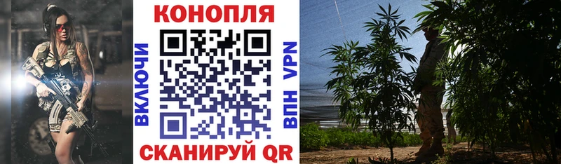 Бошки Шишки сатива  Нижневартовск 